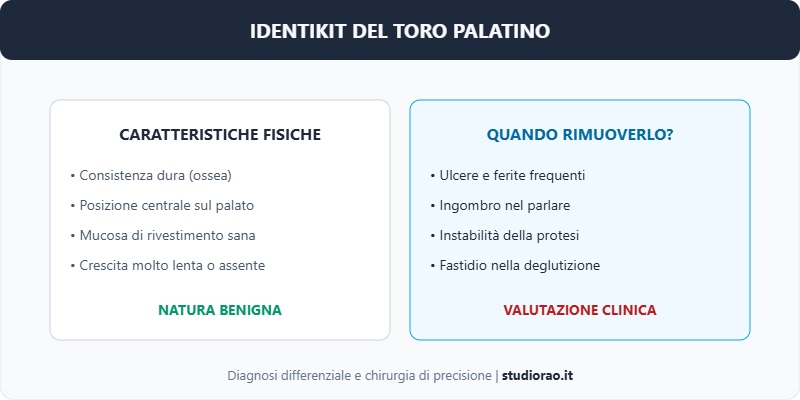 identikit del toro palatino con le caratteristiche fisiche e quando rimuoverlo